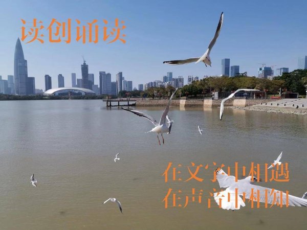 乐发 读创诵读｜深圳的图书馆照亮了我的创作之路（作者：吴小林）