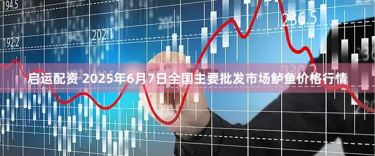 启运配资 2025年6月7日全国主要批发市场鲈鱼价格行情