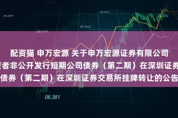 配资猫 申万宏源 关于申万宏源证券有限公司2025年面向专业投资者非公开发行短期公司债券（第二期）在深圳证券交易所挂牌转让的公告