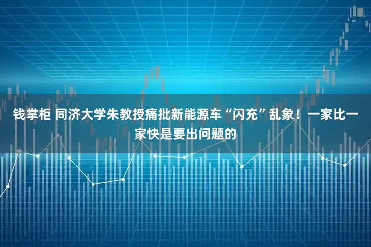 钱掌柜 同济大学朱教授痛批新能源车“闪充”乱象！一家比一家快是要出问题的